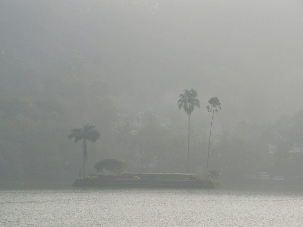 Hurricane Season